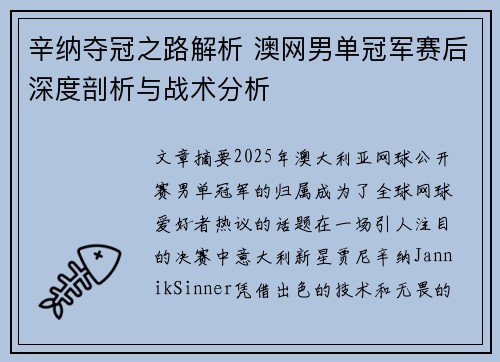 辛纳夺冠之路解析 澳网男单冠军赛后深度剖析与战术分析